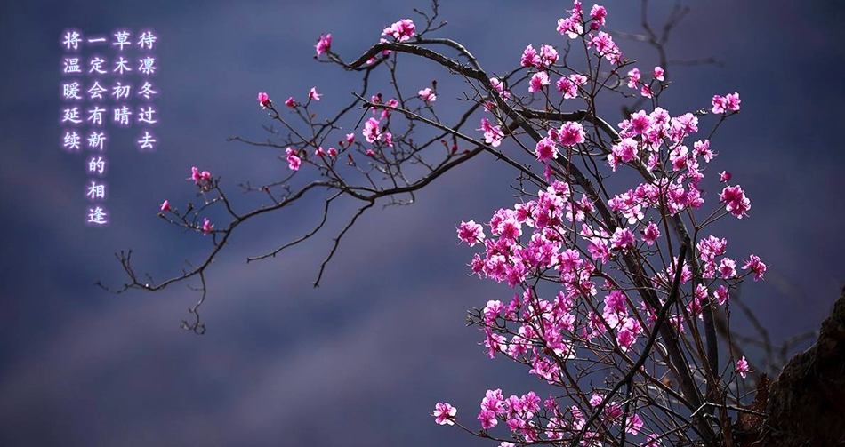 腾博诚信官网·(中国)会专业效劳