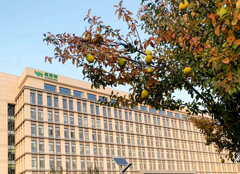 腾博诚信官网·(中国)会专业效劳